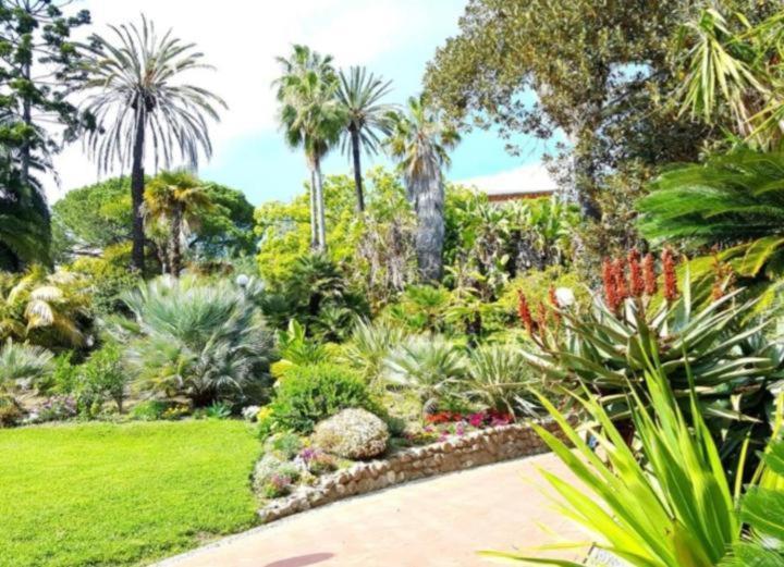Ampio appartamento centrale Sanremo Esterno foto